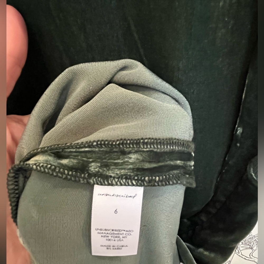 🆕 Green Velvet Silk Dress by Unsubscribed - Picture 7 of 10